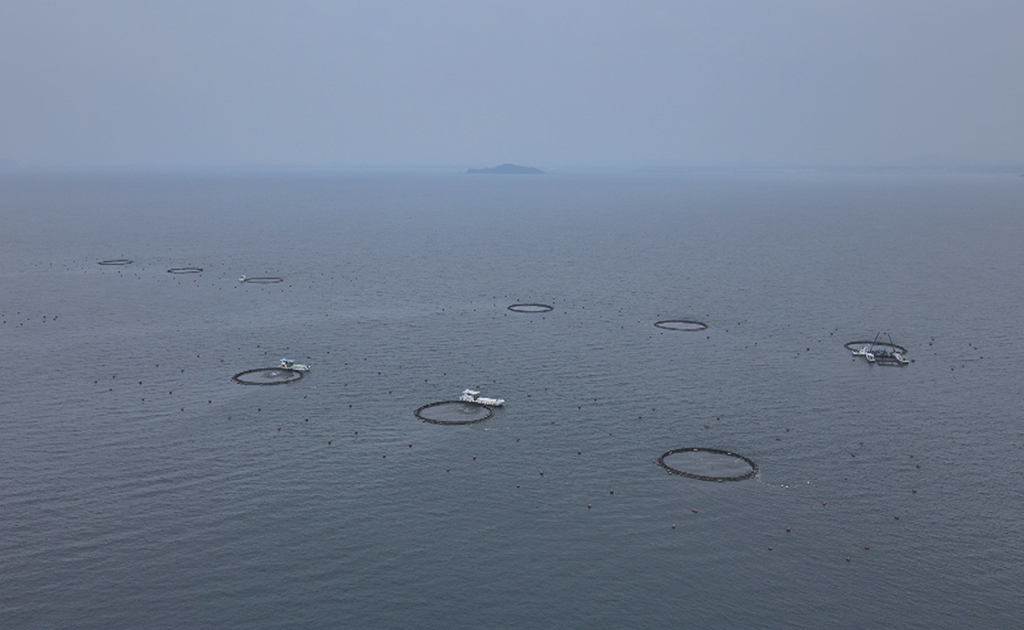 Offshore aquaculture and Adaptation to the sea conditions